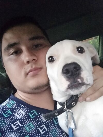 ,   Ramil, 31 ,   ,   , c 