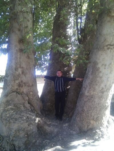  ,   Jasur, 48 ,   ,   , c , 