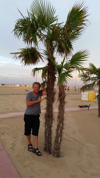  Beckum,   Bumer, 48 ,   ,   , c 