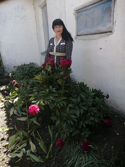  ,   , 53 ,   ,   