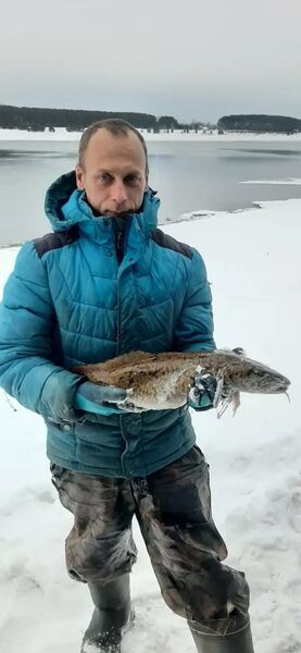  ,   Alexey, 43 ,   ,   , c , 
