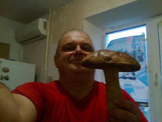  ,   , 55 ,   