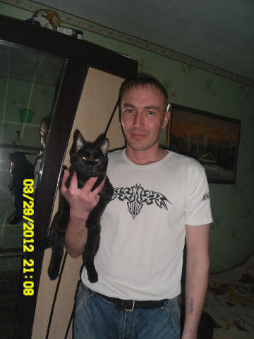  ,   , 46 ,   ,   , c , 
