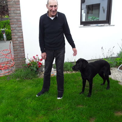 ,   , 66 ,   