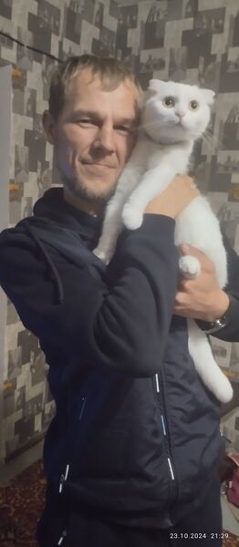  ,   , 42 ,   ,   , 