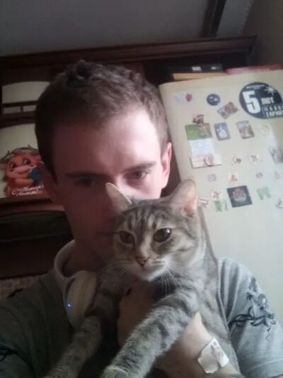  ,   , 28 ,   ,   