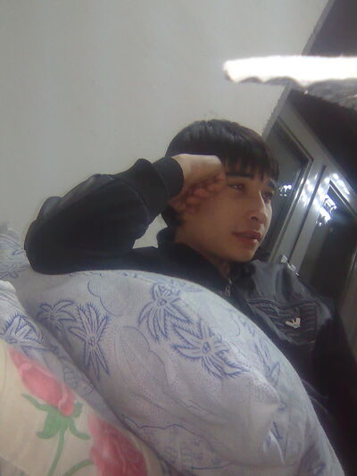  ,   BOXODIR, 36 ,   