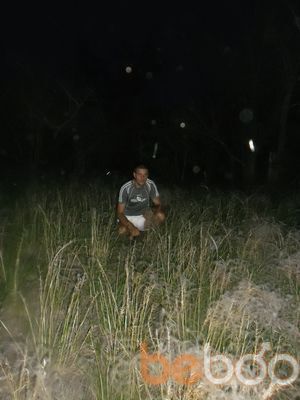  -,   , 38 ,   