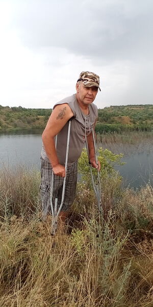   ,   , 54 ,   ,   , c , 