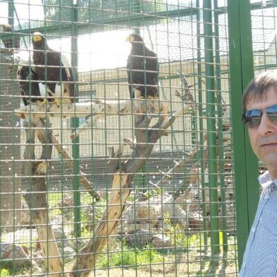  ,   Mullo, 59 ,   