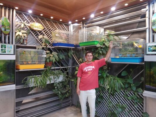  ,   Baur, 45 ,   ,   