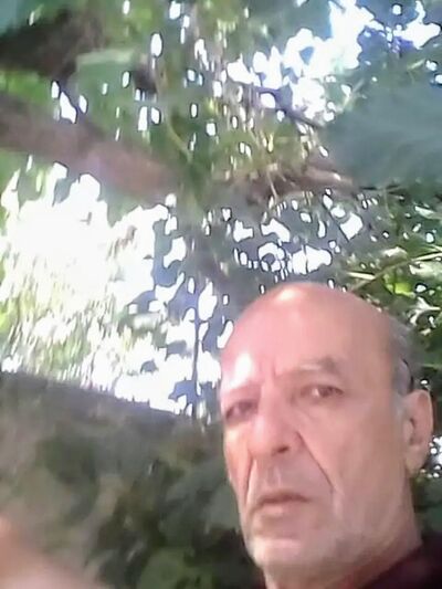  ,   Colak, 65 ,   ,   