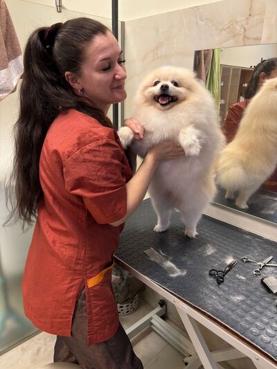  -,   , 42 ,     , c , 