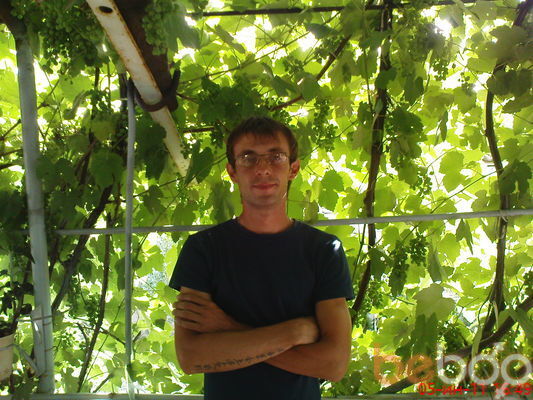 ���������� �������, ���� ������� ����, 38 ���, ������������ ��� ������