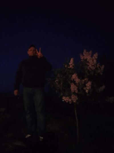  ,   , 41 ,   c , 