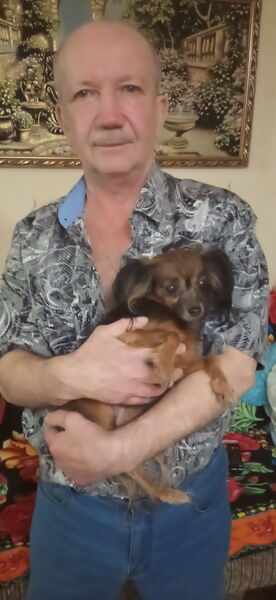  ,   , 62 ,   ,   