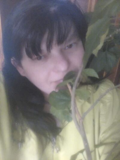  ,   , 43 ,  
