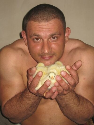  ,   Golden Boy, 42 ,   ,   , c 