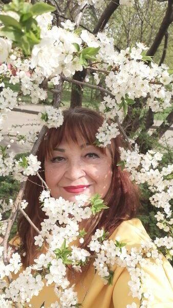   ,   , 56 ,   c , 