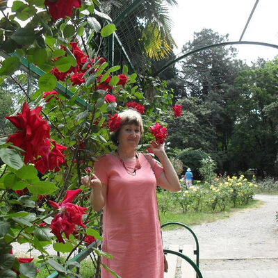 ,   , 61 ,   ,   
