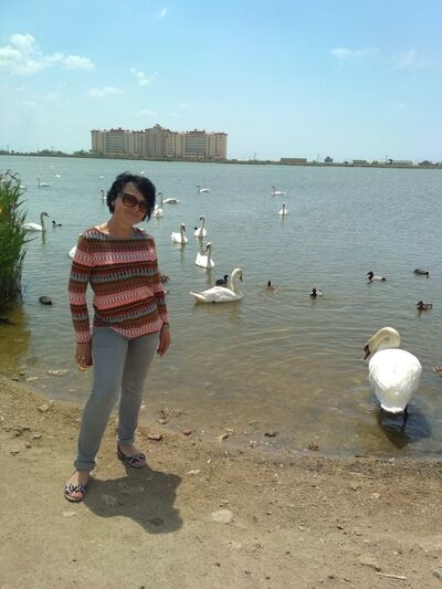  ,   Efa, 60 ,  