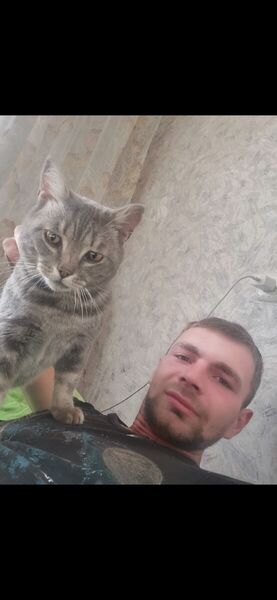  ,   , 27 ,     , c 