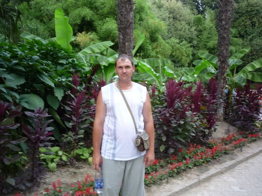  ,   , 49 ,  