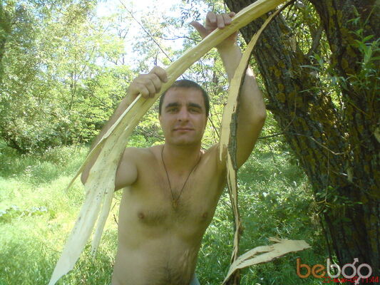  ,   Shoimudenis, 38 ,  