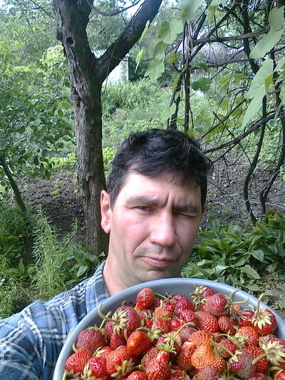  ,   , 52 ,  