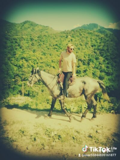  ,   Roma, 28 ,     , c 