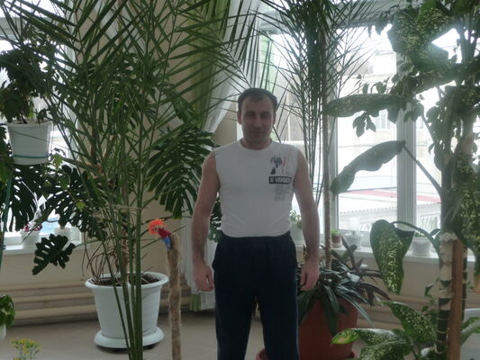  ,   Maga, 52 ,   