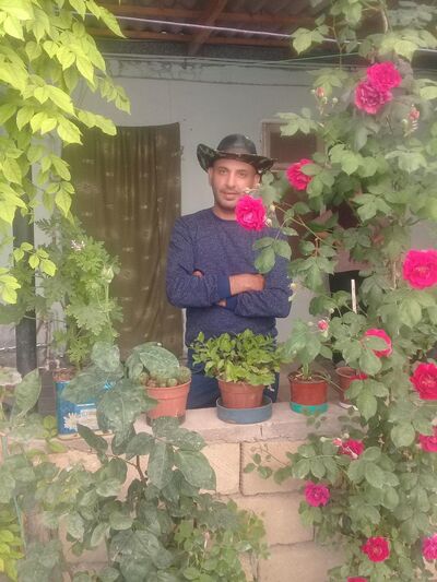  ,   , 43 ,   ,   