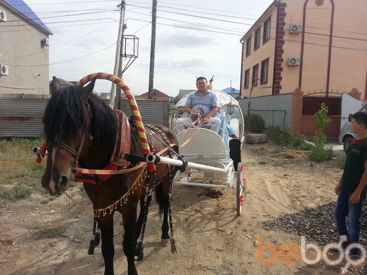 ���������� ������, ���� ������� �������, 41 ���, ������������ ��� ������, ����� � ���������, c�������� ���������