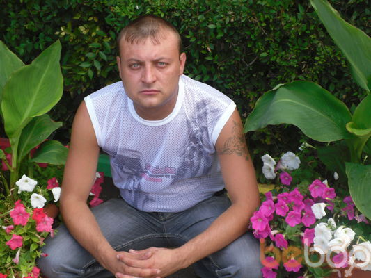  ,   , 43 ,  