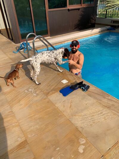  ,   , 53 ,   ,   , c 