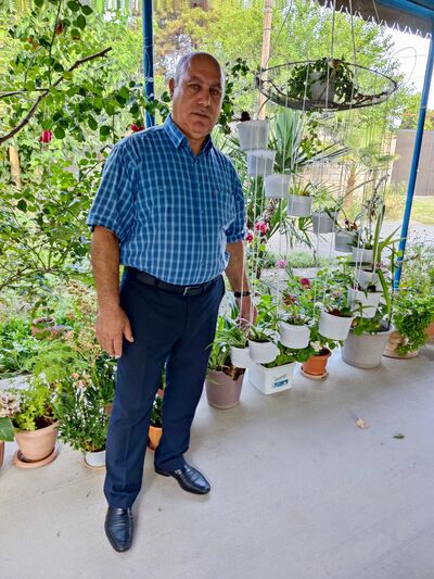  ,   , 66 ,   ,   , c , 