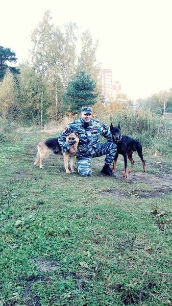  ,   , 44 ,   ,   , c , 