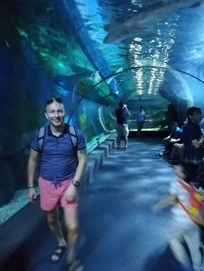  ,   , 43 ,   ,   , c 