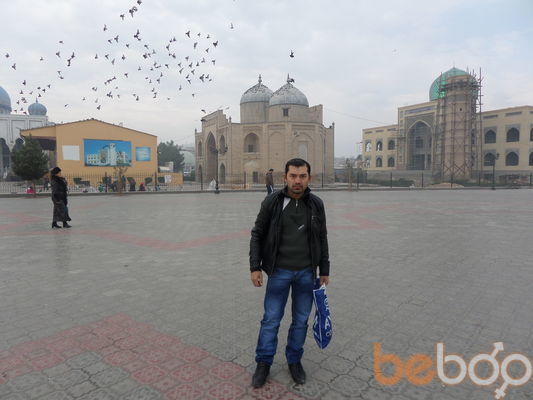  ,   Bory, 41 ,   