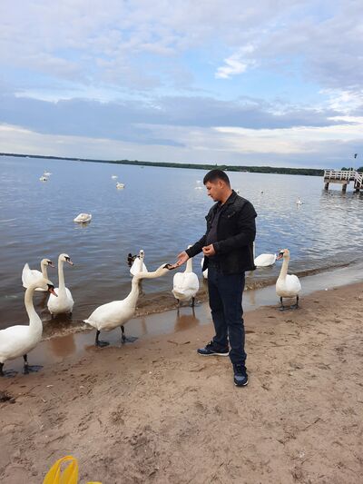  Csaszar,   Jurat, 34 ,   ,   
