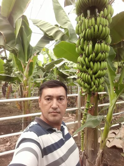  ,       , 38 ,   ,   