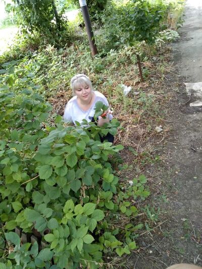  ,   , 54 ,   