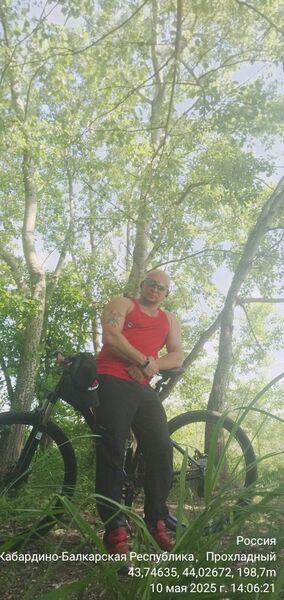  ,   Mikhail, 44 ,   ,   , c , 