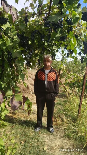  ,   , 54 ,     , c , 