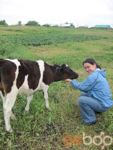 ���������� ������, ���� ������� �����, 32 ����, ������������ ��� ����� � ���������, c�������� ���������