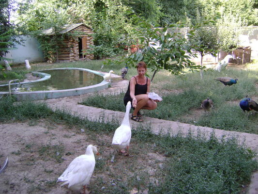 ,   , 52 ,     , c 