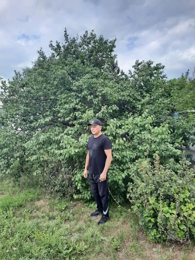  ,   , 49 ,   ,   , c , 