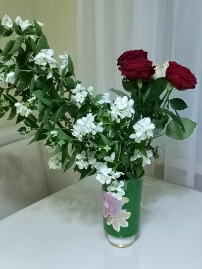  ,   , 55 ,   ,   , c , 