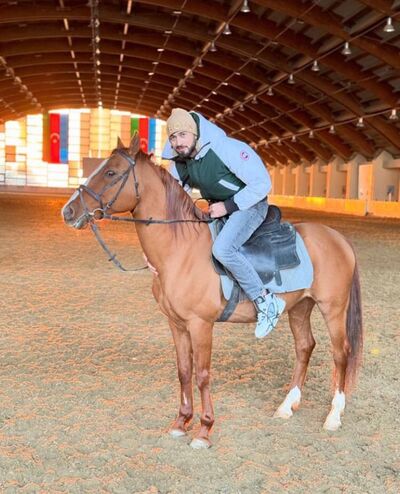  ,   Rustam, 37 ,     , c 