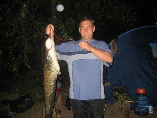  ,   , 63 ,   ,   , c 